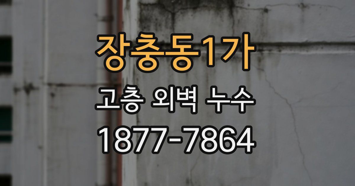 장충동1가 고층 외벽 누수