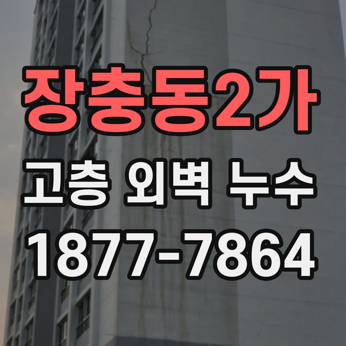 장충동2가 고층 외벽 누수