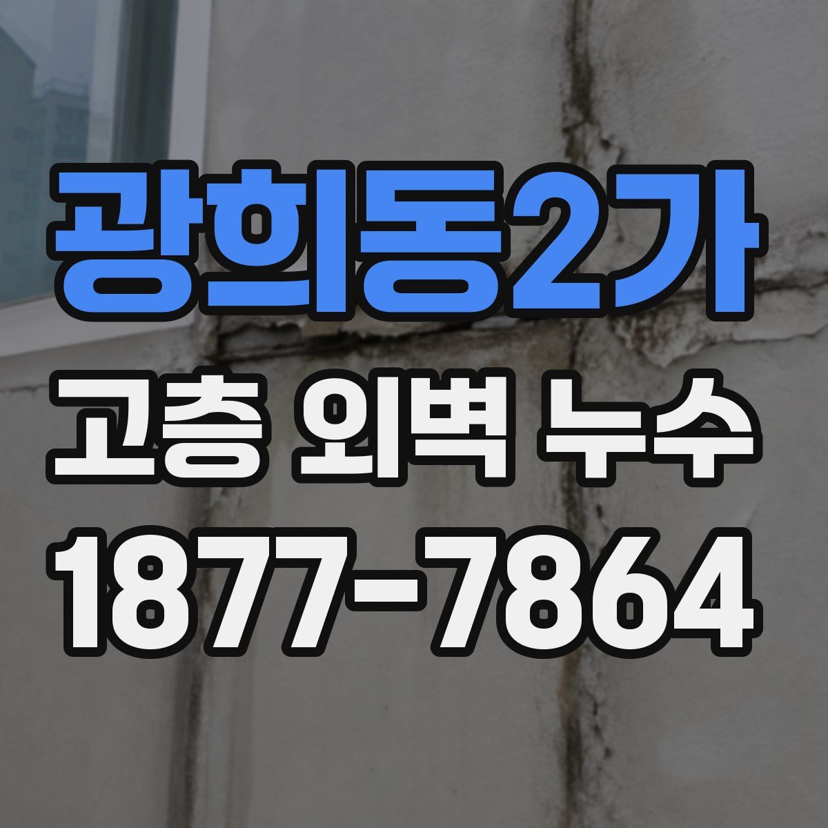 광희동2가 고층 외벽 누수