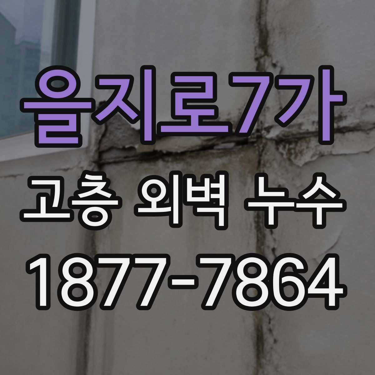 을지로7가 고층 외벽 누수