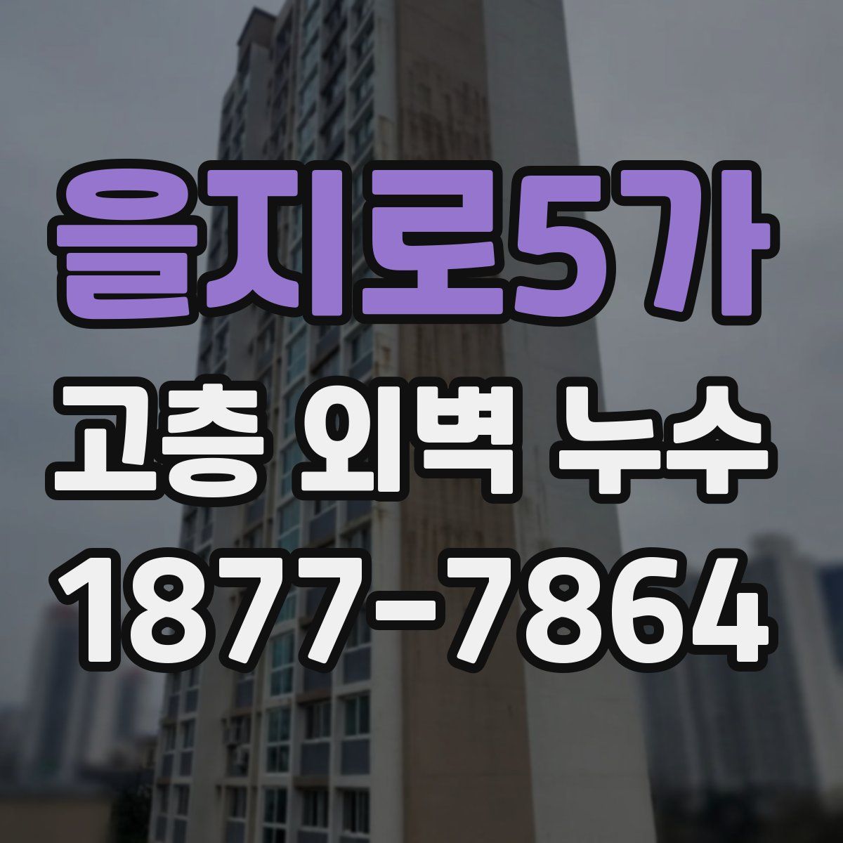 을지로5가 고층 외벽 누수