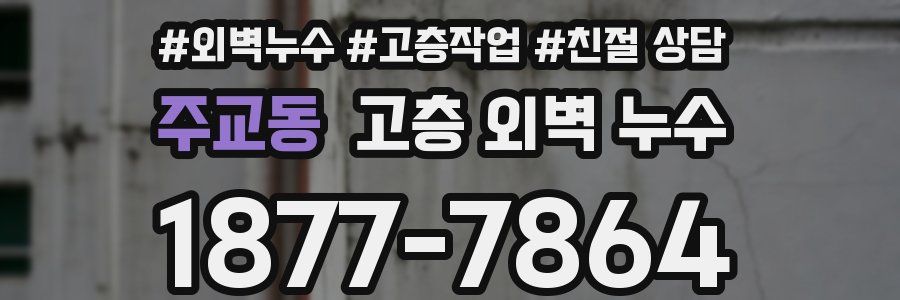 주교동 고층 외벽 누수