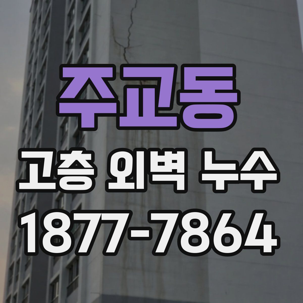 주교동 고층 외벽 누수