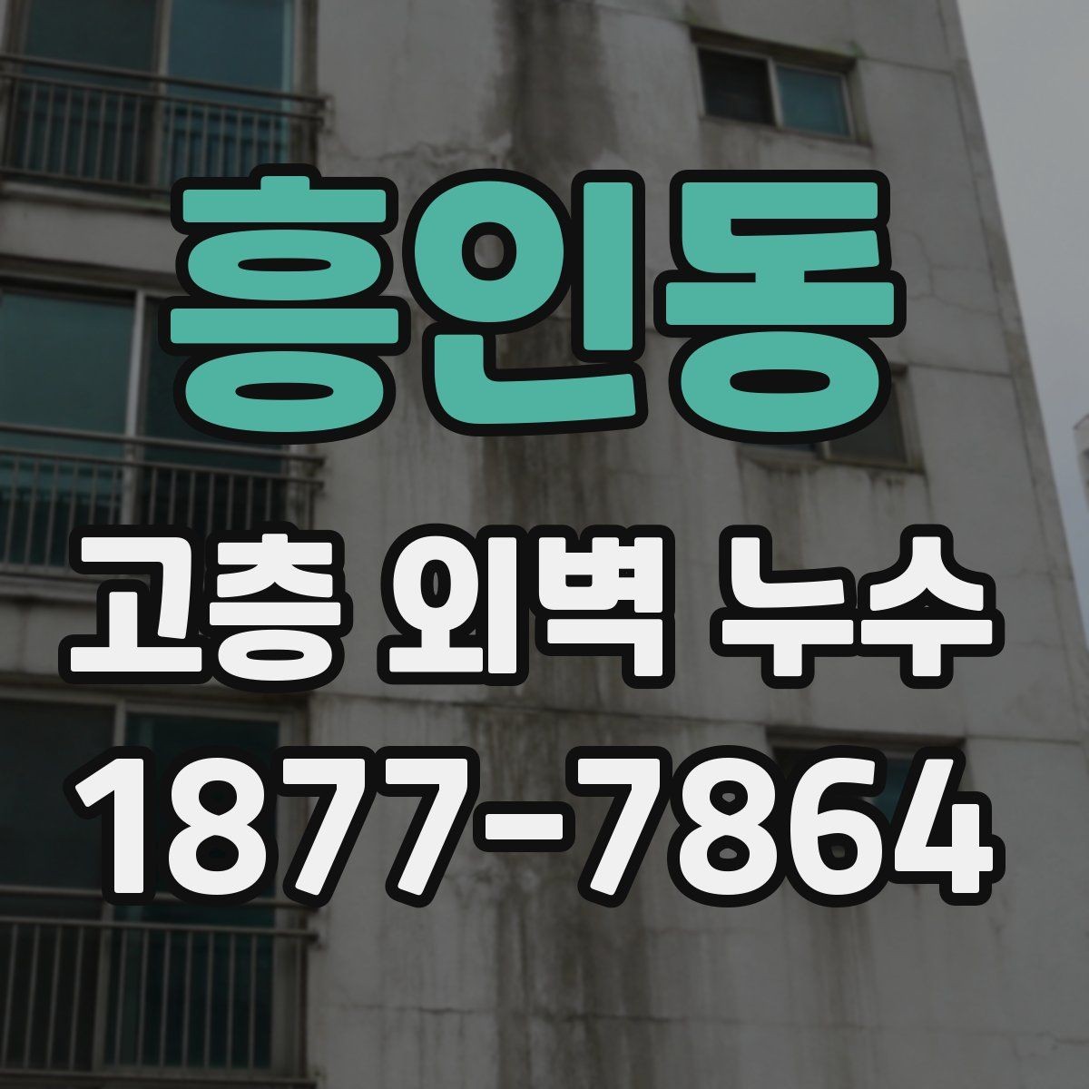 흥인동 고층 외벽 누수 점검으로 확인하는 방수 상태
