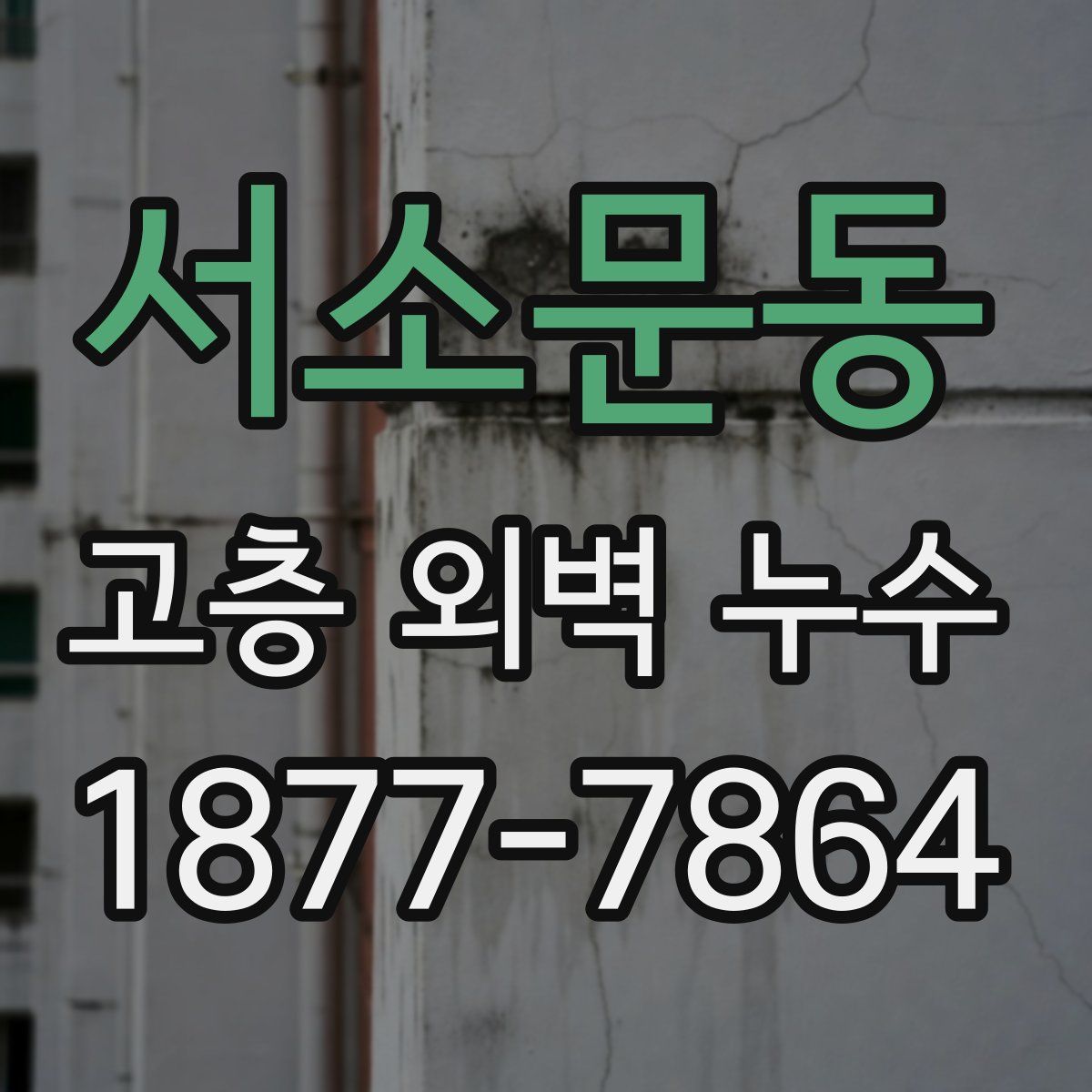서소문동 고층 외벽 누수
