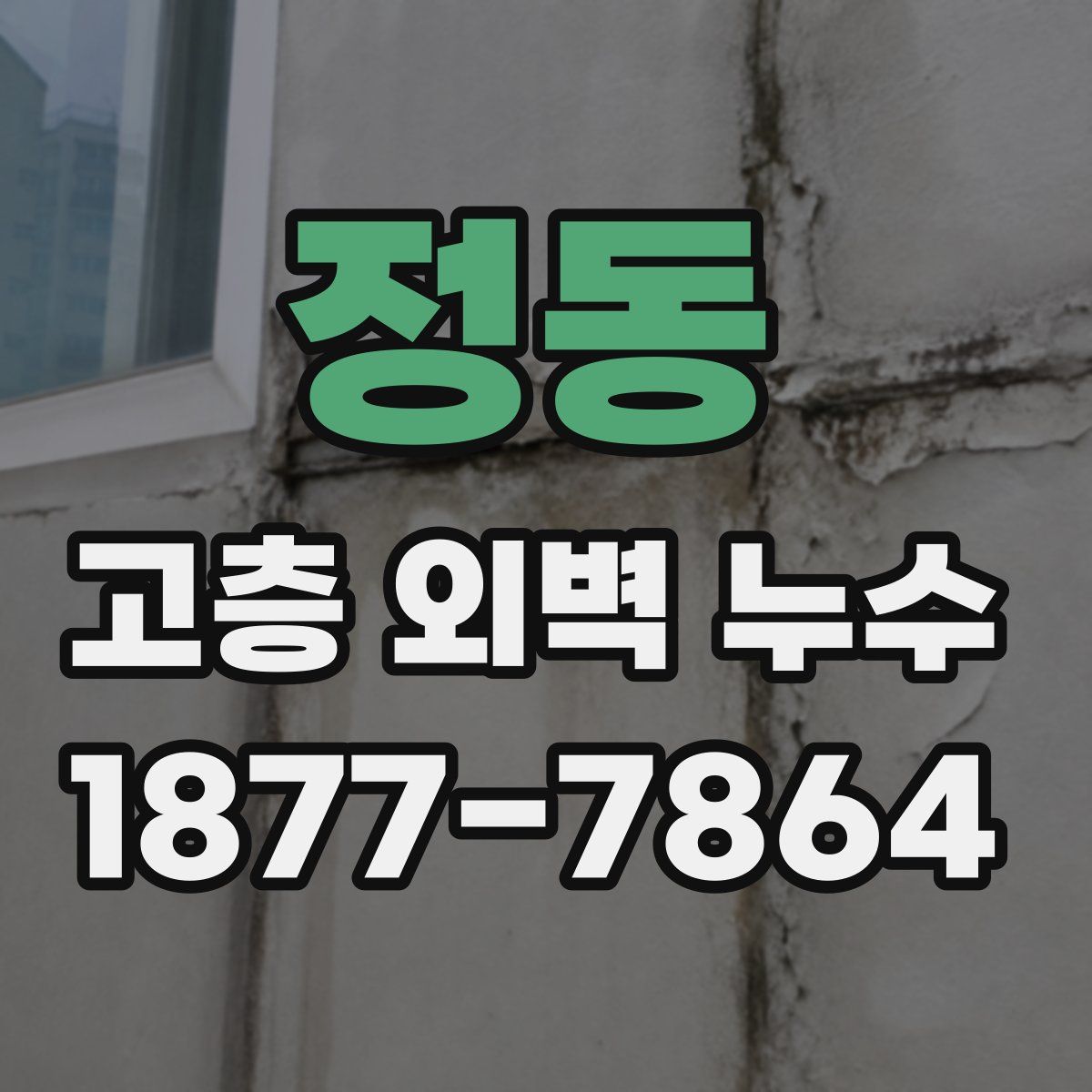 정동 고층 외벽 누수
