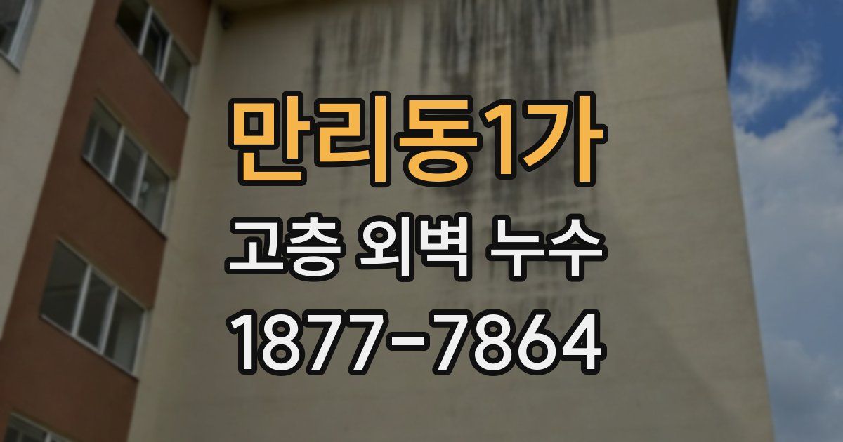 만리동1가 고층 외벽 누수