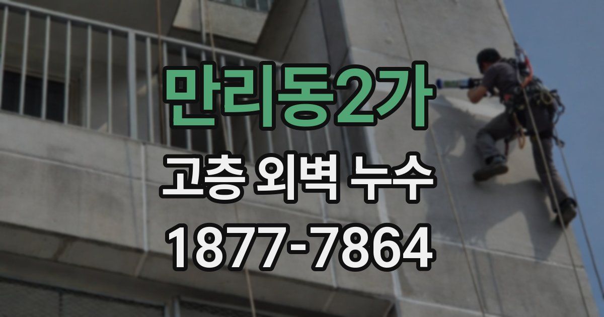 만리동2가 고층 외벽 누수