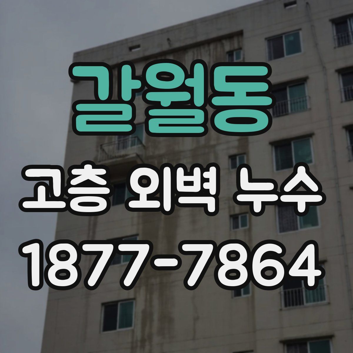 갈월동 고층 외벽 누수