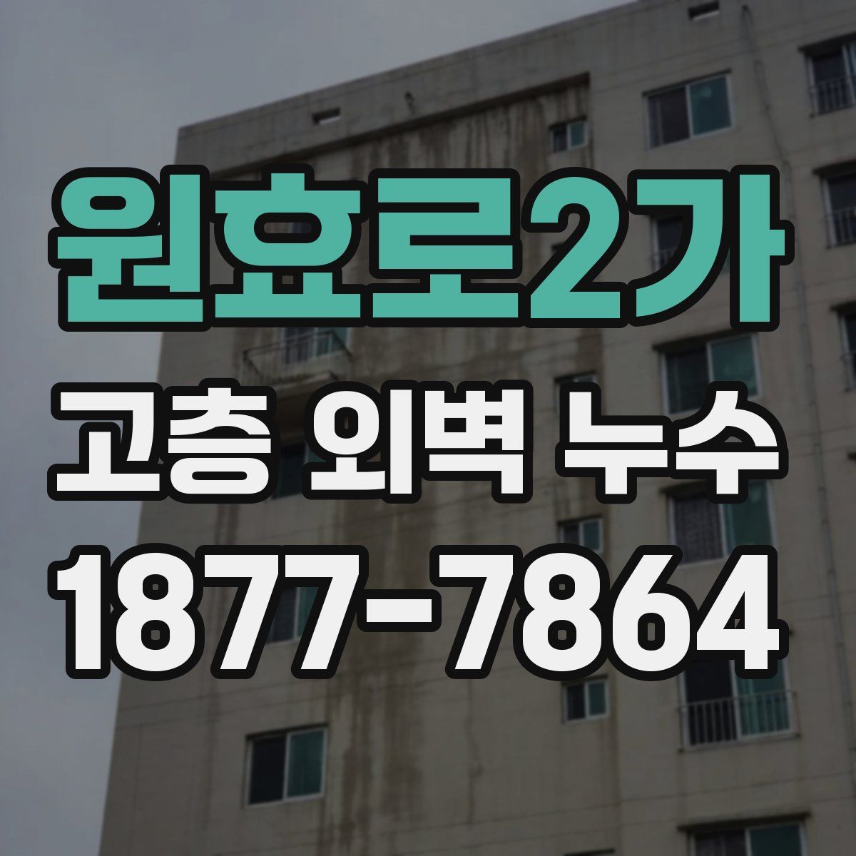 원효로2가 고층 외벽 누수