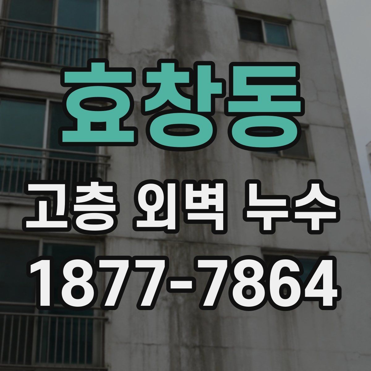 효창동 고층 외벽 누수 점검 결과를 바탕으로 한 보수 계획
