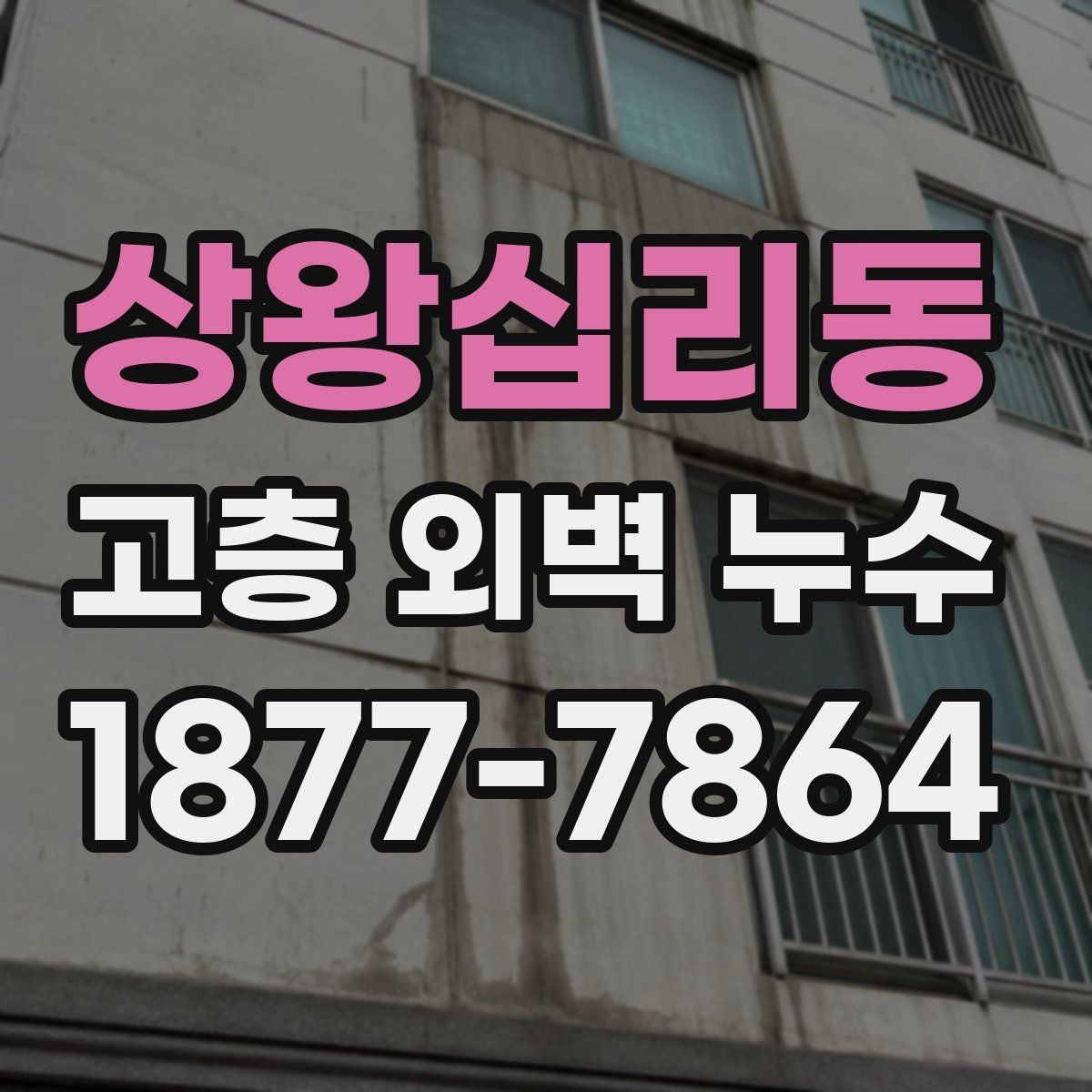 상왕십리동 고층 외벽 누수 점검부터 시공까지 알아야 할 흐름