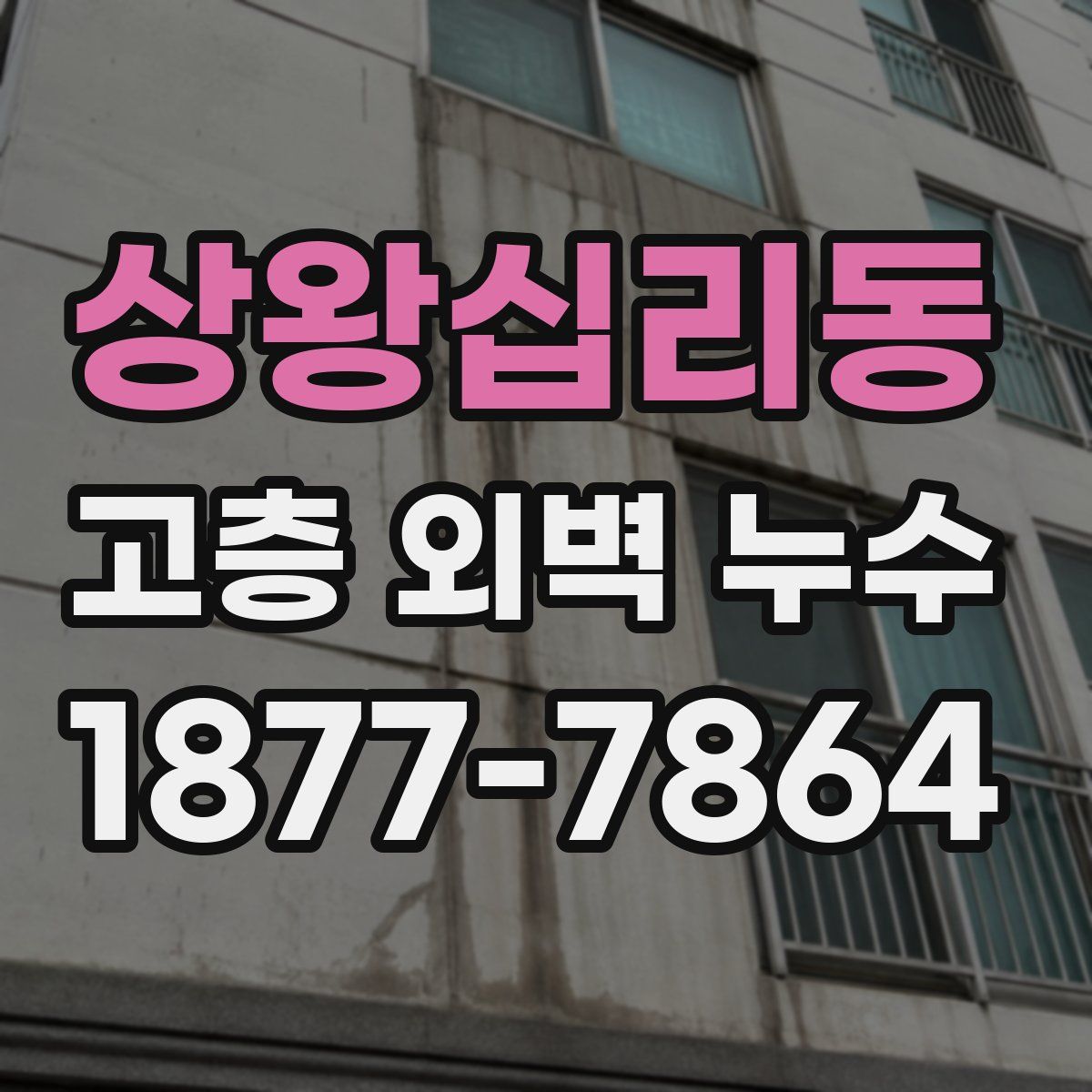 상왕십리동 고층 외벽 누수