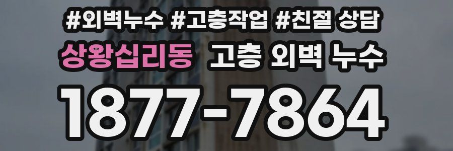 상왕십리동 고층 외벽 누수