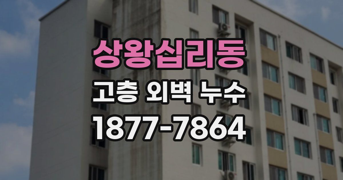 상왕십리동 고층 외벽 누수