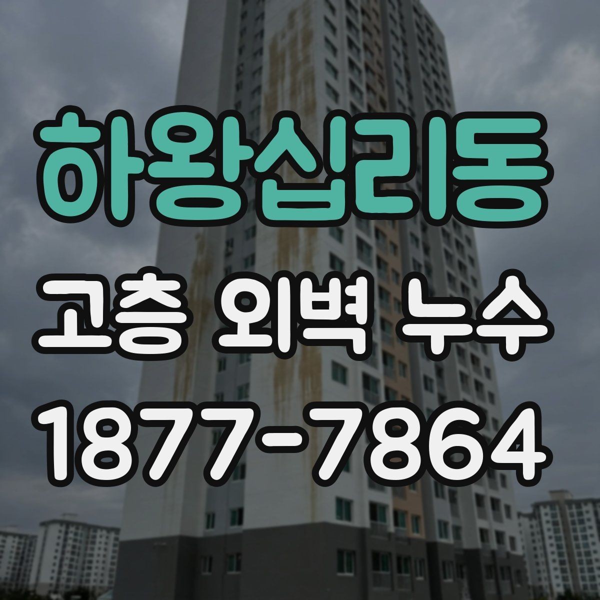 하왕십리동 고층 외벽 누수 조사 결과에 따라 달라지는 대응