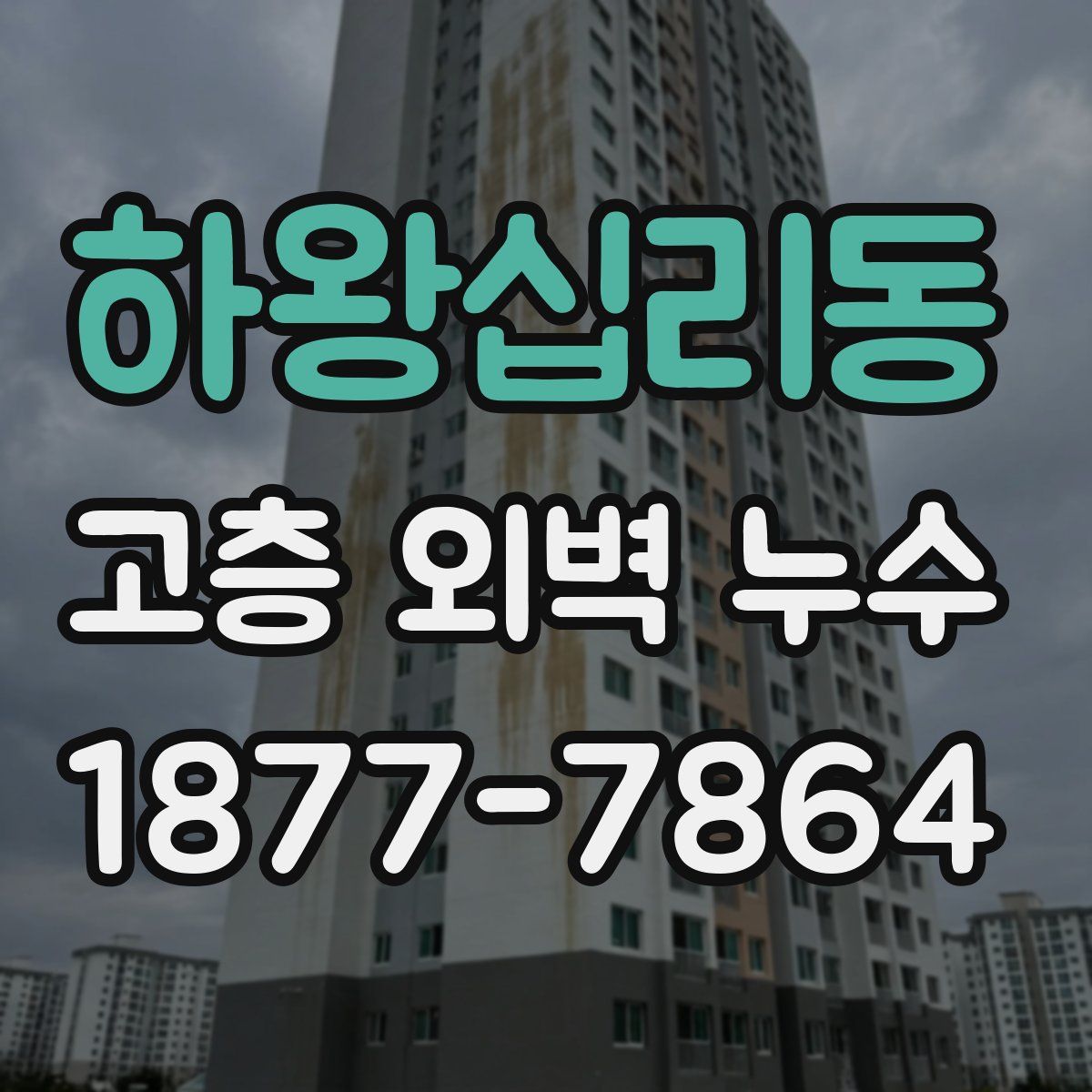 하왕십리동 고층 외벽 누수