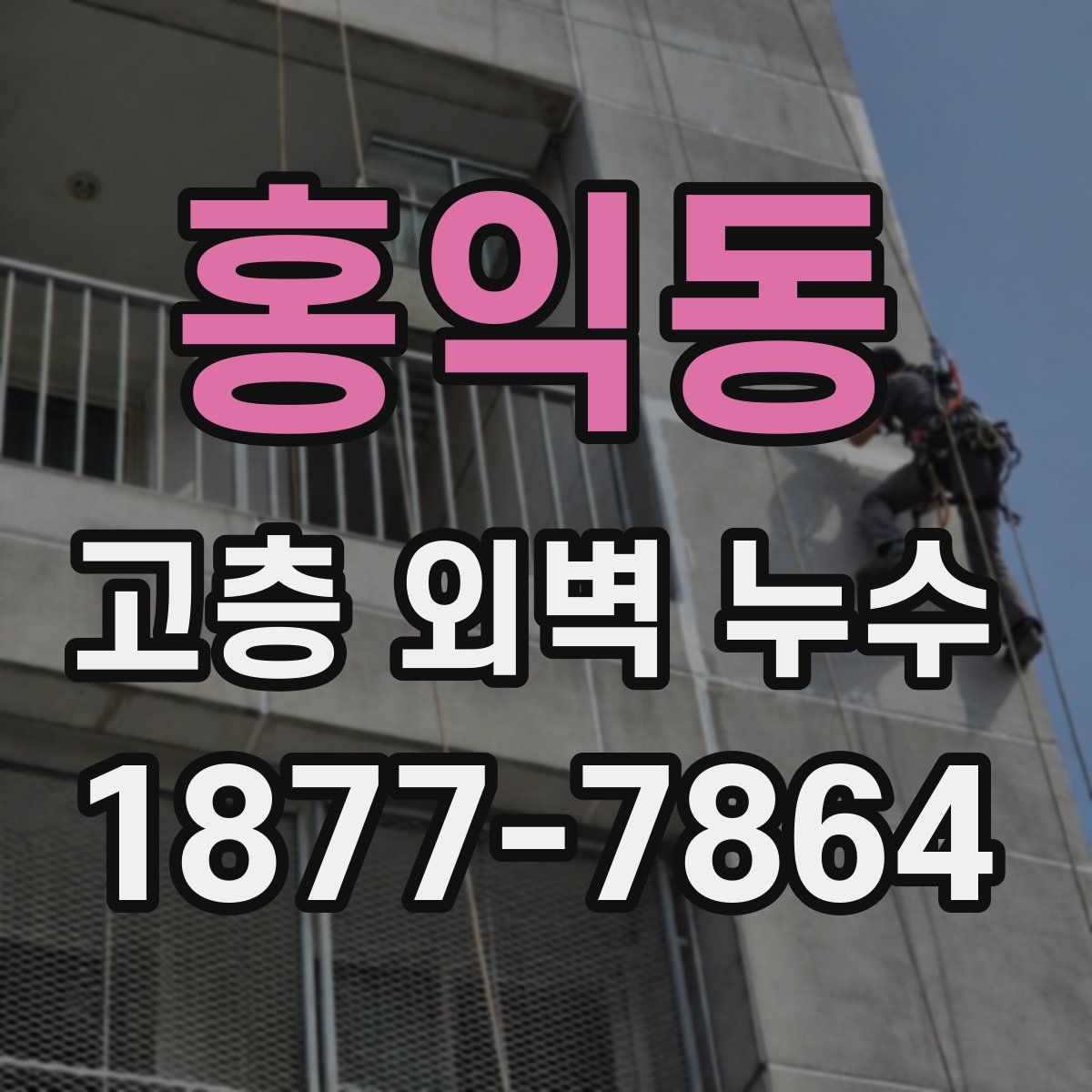 홍익동 고층 외벽 누수