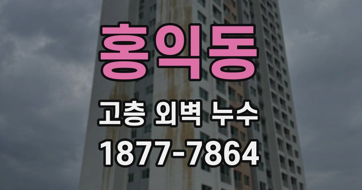 홍익동 고층 외벽 누수