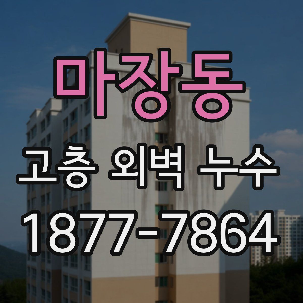 마장동 고층 외벽 누수