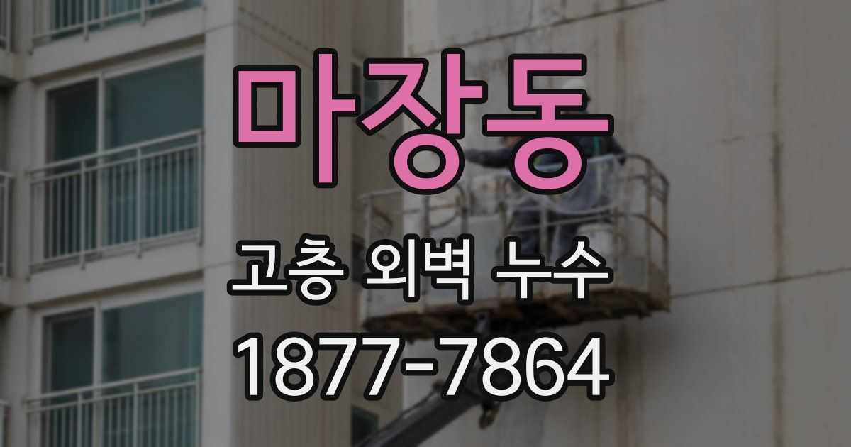 마장동 고층 외벽 누수