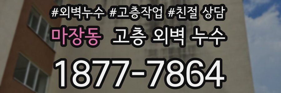 마장동 고층 외벽 누수