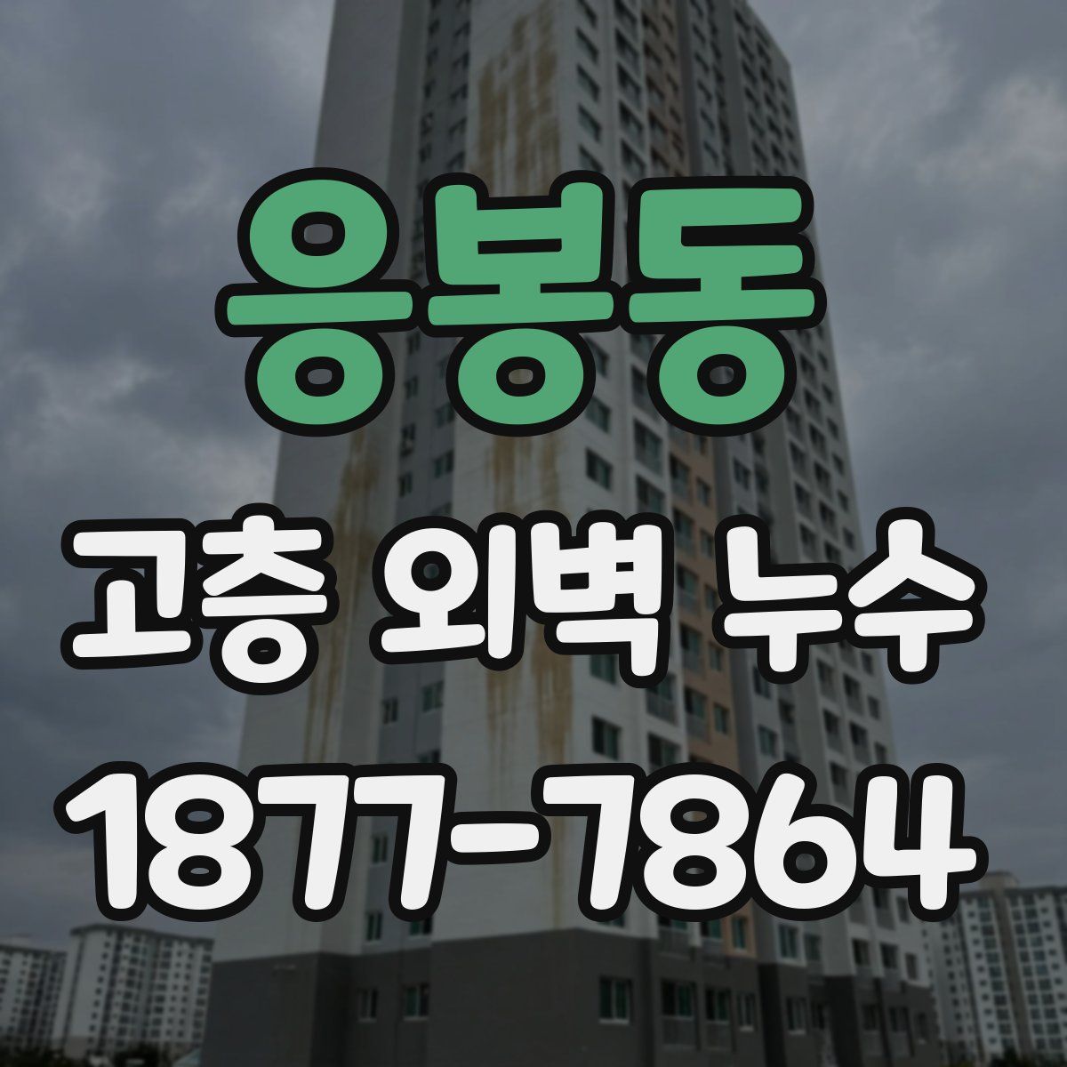 응봉동 고층 외벽 누수