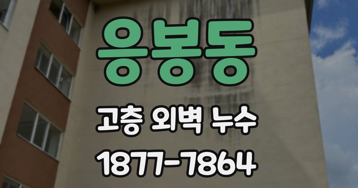 응봉동 고층 외벽 누수