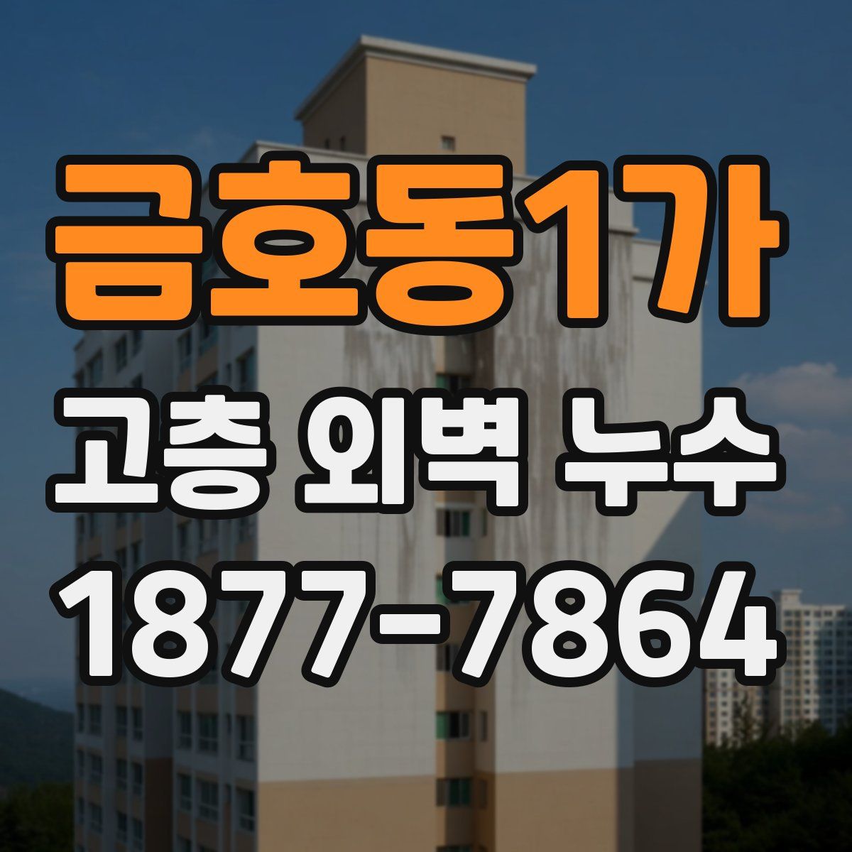 금호동1가 고층 외벽 누수