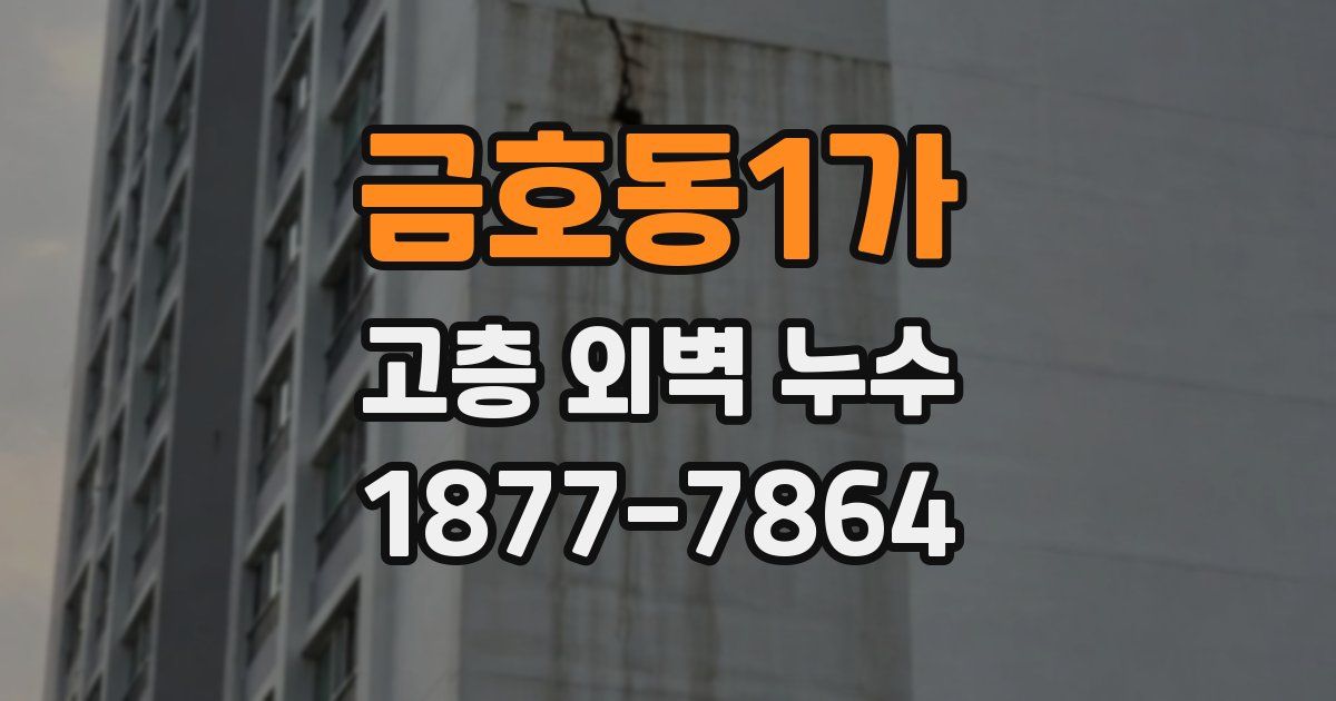 금호동1가 고층 외벽 누수