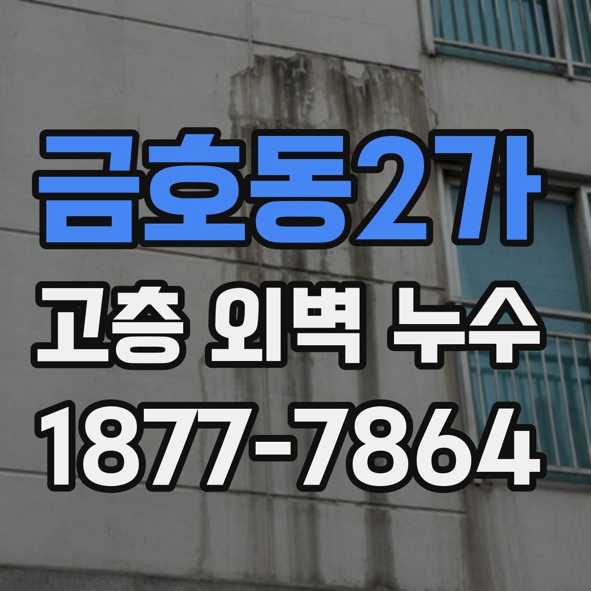 금호동2가 고층 외벽 누수
