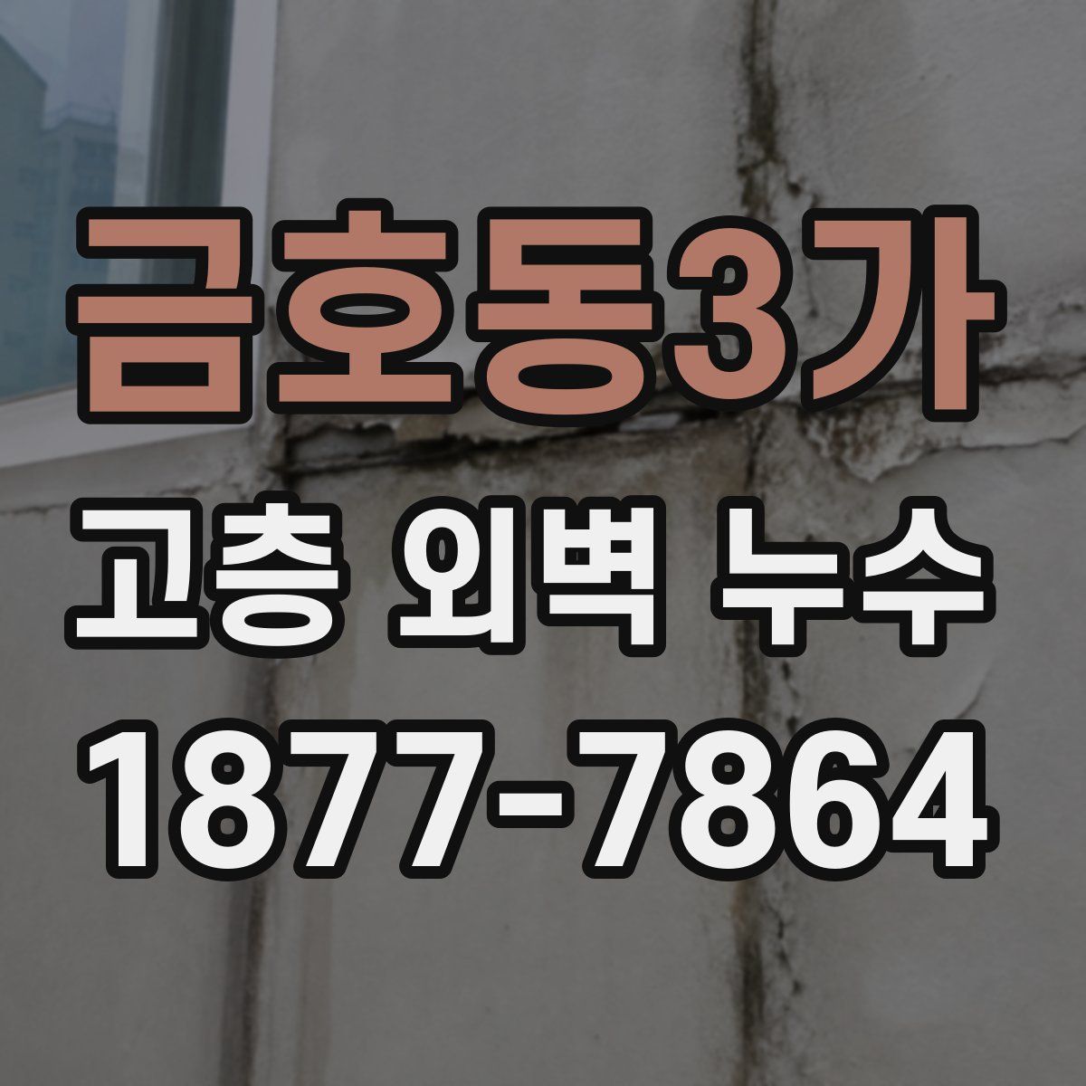 금호동3가 고층 외벽 누수