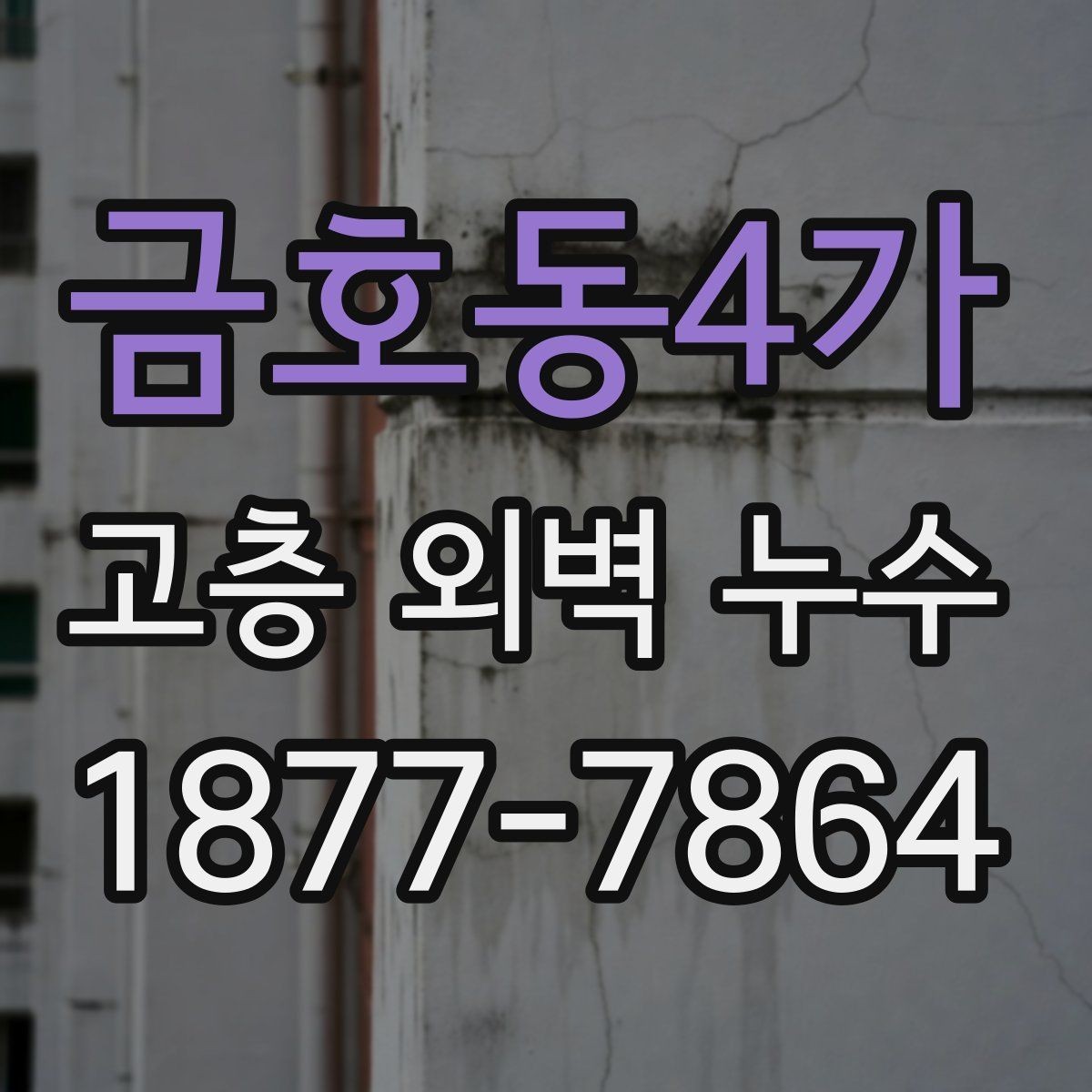 금호동4가 고층 외벽 누수 사례로 보는 진단 포인트