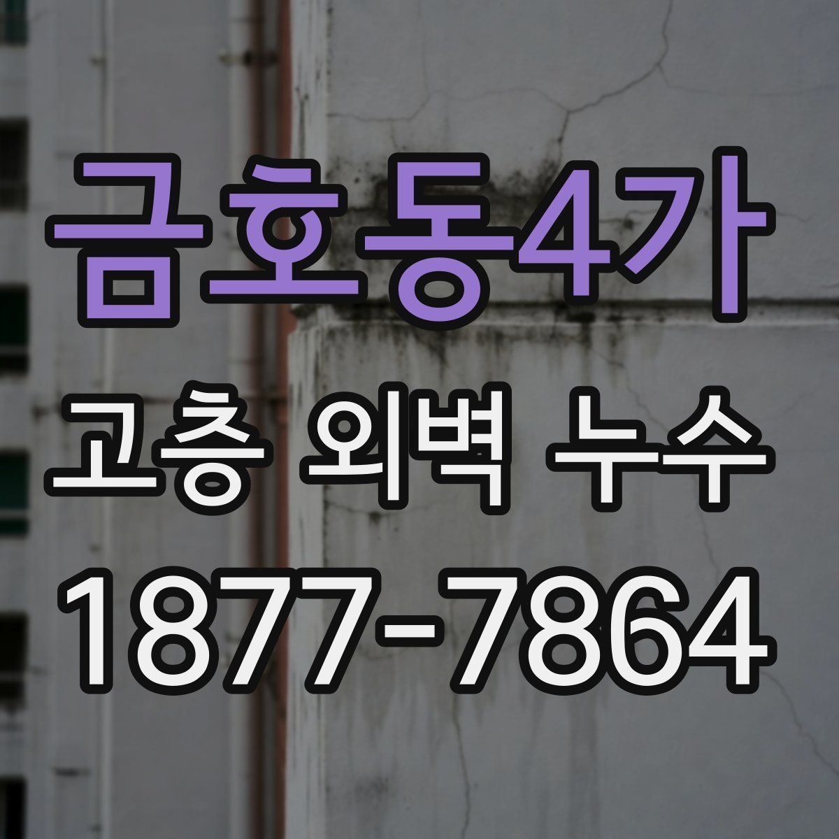 금호동4가 고층 외벽 누수