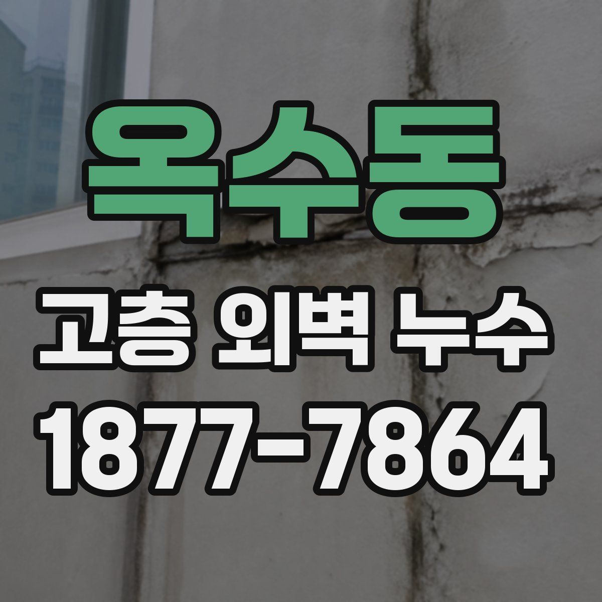옥수동 고층 외벽 누수