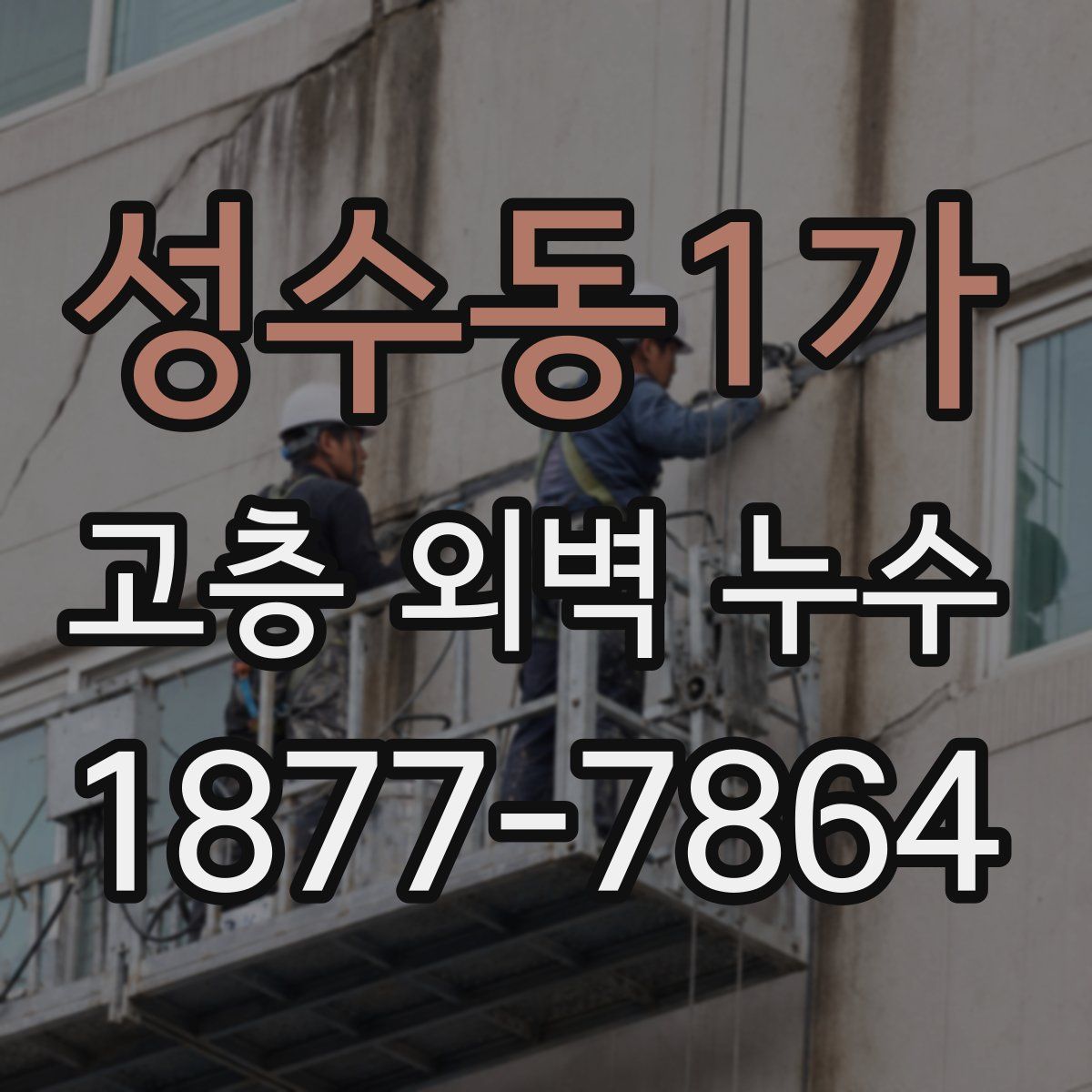 성수동1가 고층 외벽 누수