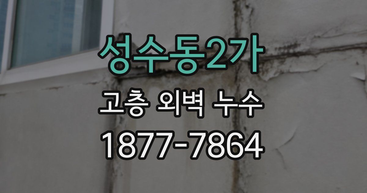 성수동2가 고층 외벽 누수