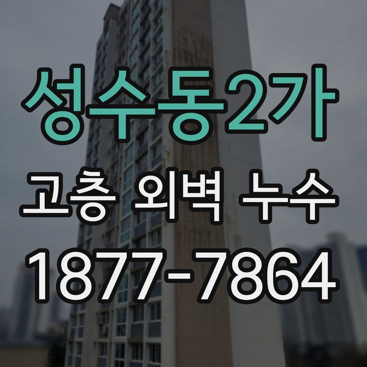 성수동2가 고층 외벽 누수