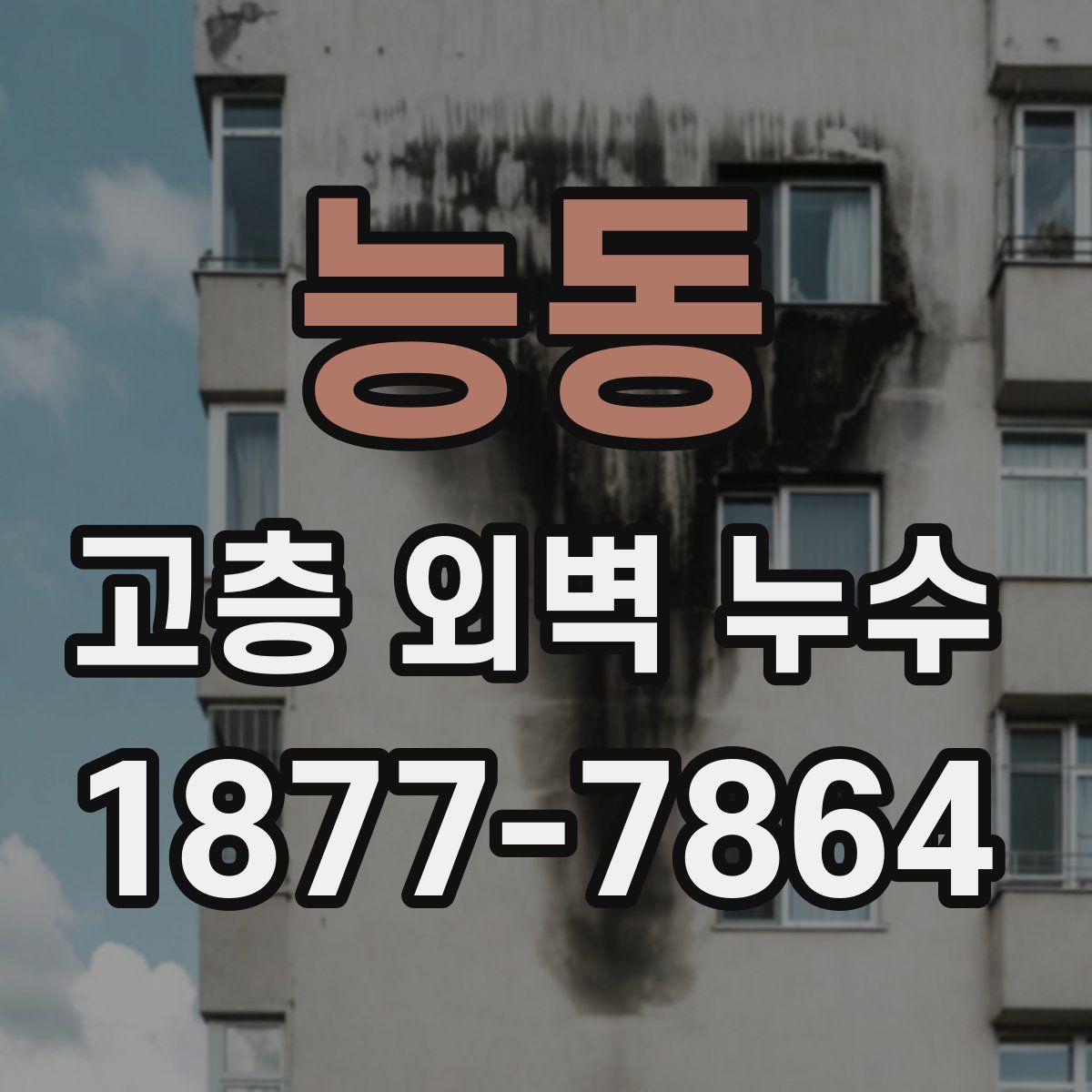 능동 고층 외벽 누수