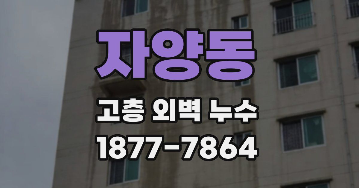 자양동 고층 외벽 누수