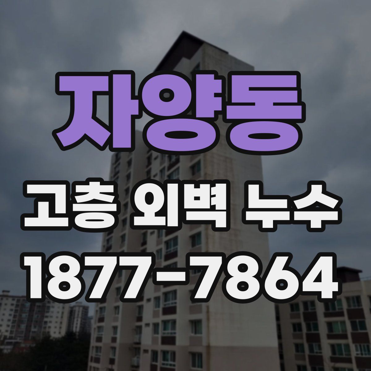 자양동 고층 외벽 누수