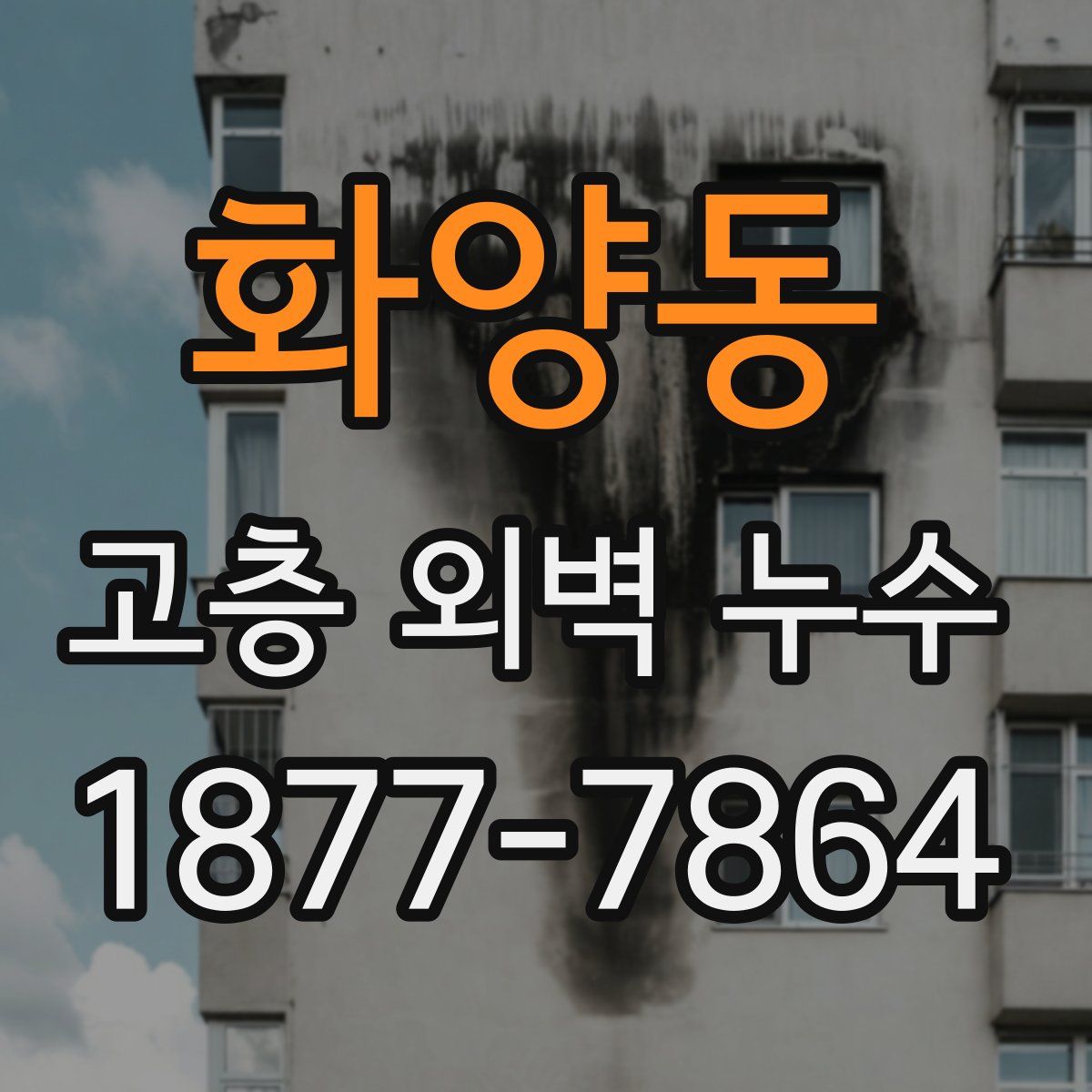 화양동 고층 외벽 누수