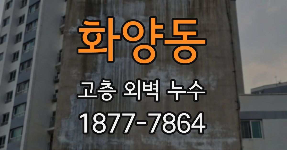 화양동 고층 외벽 누수