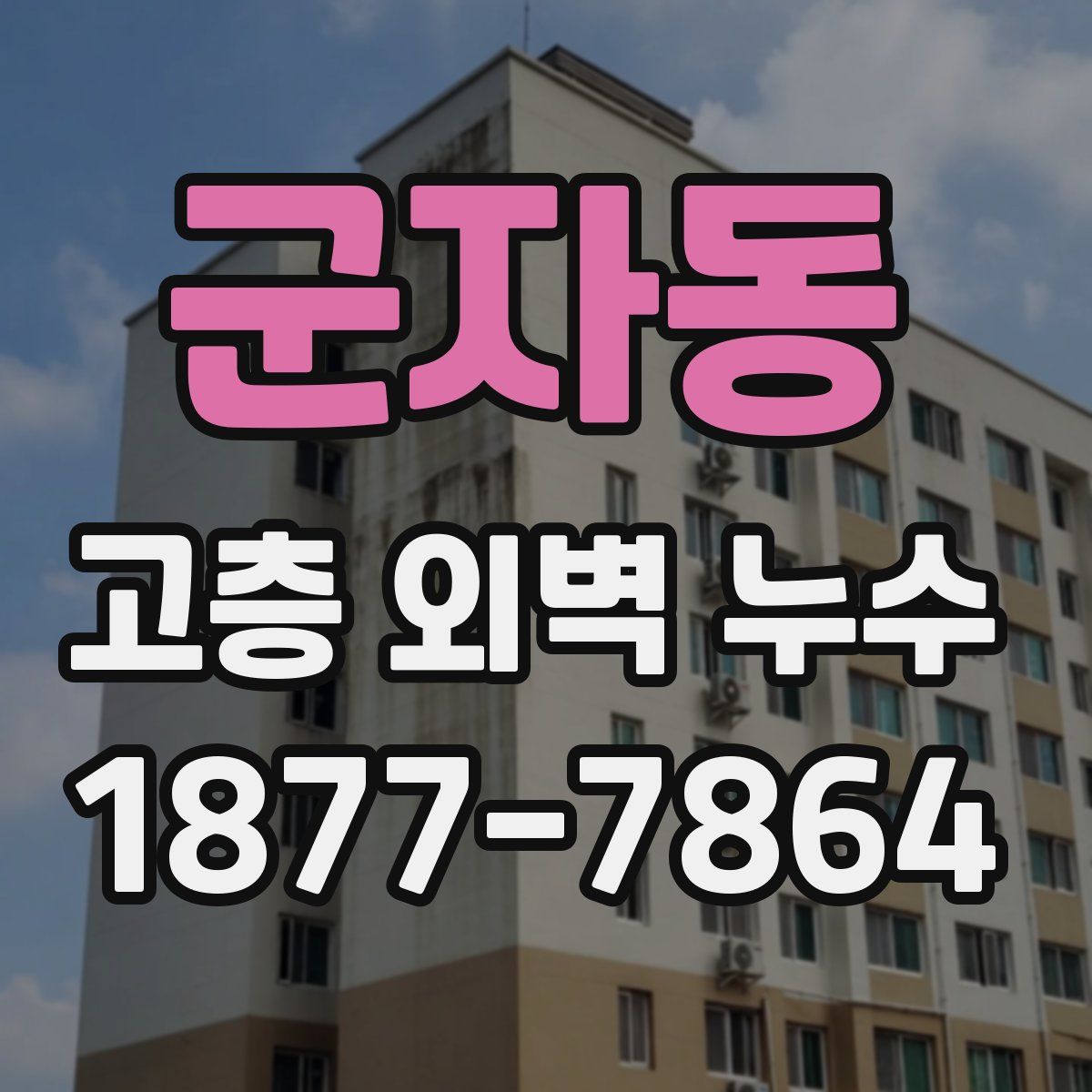 군자동 고층 외벽 누수