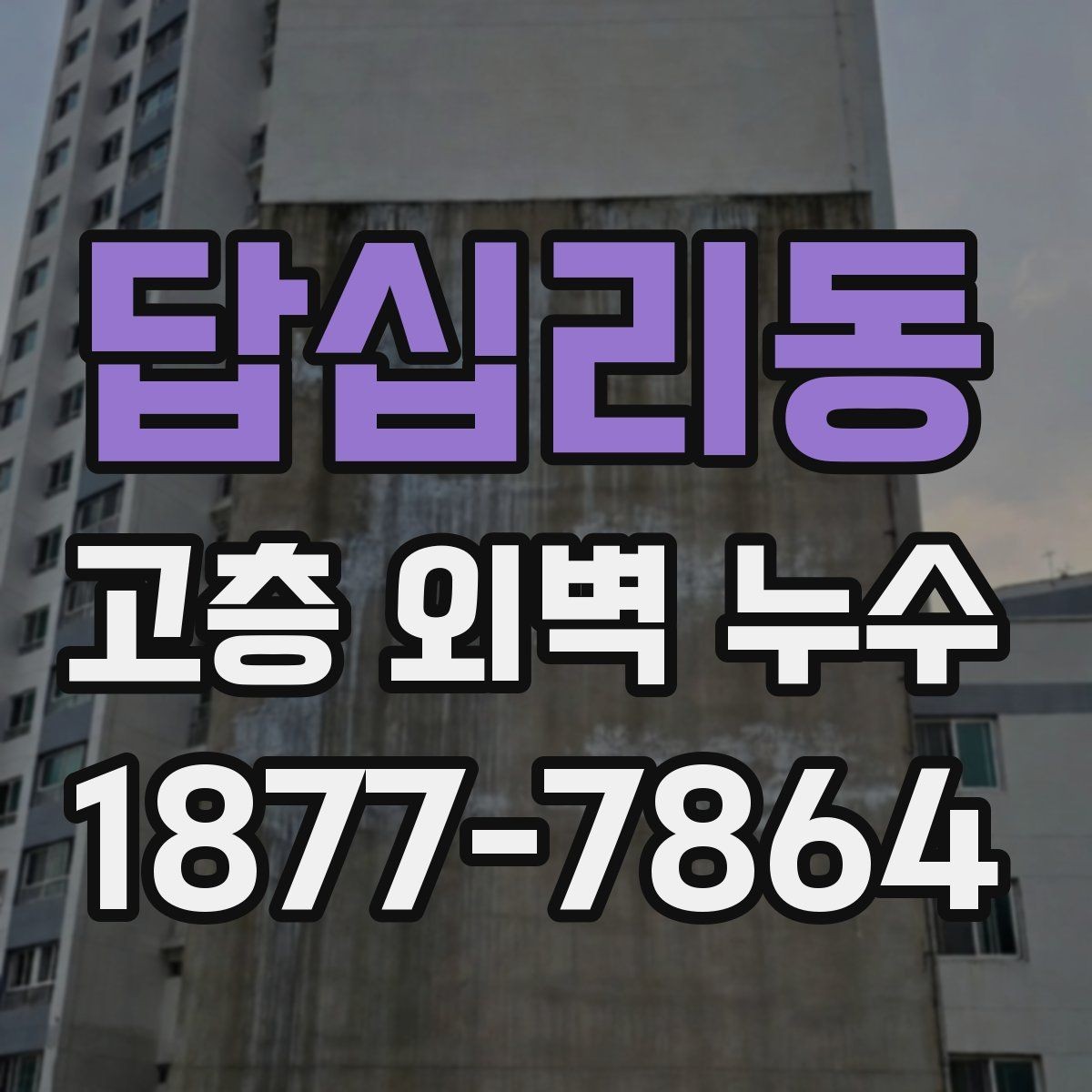 답십리동 고층 외벽 누수 장기적인 유지관리 방법