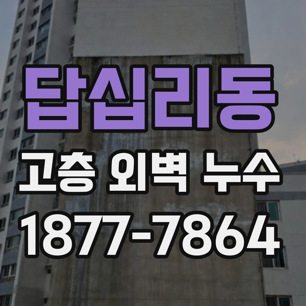 답십리동 고층 외벽 누수