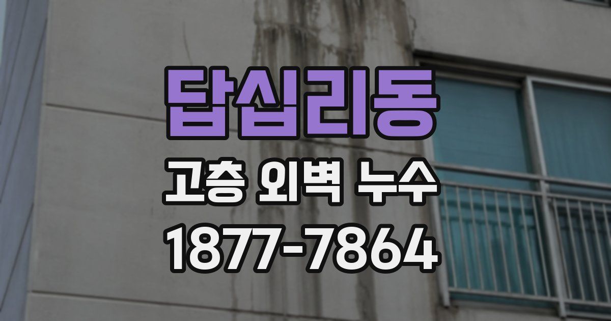 답십리동 고층 외벽 누수