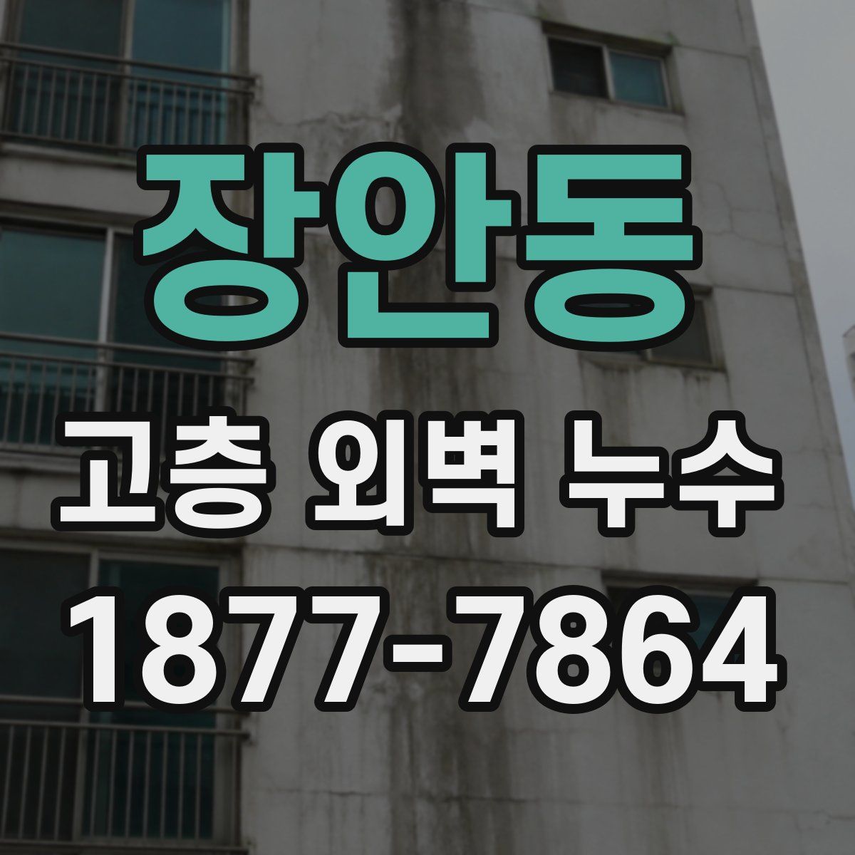 장안동 고층 외벽 누수