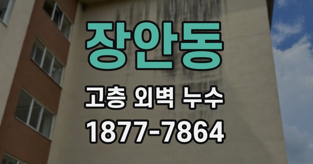 장안동 고층 외벽 누수