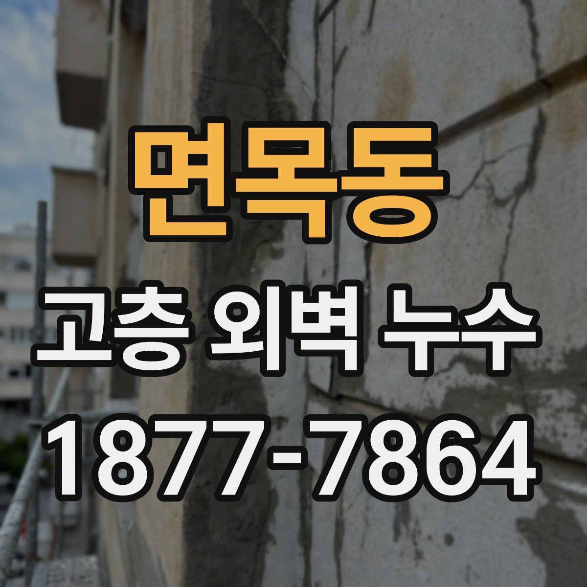 면목동 고층 외벽 누수